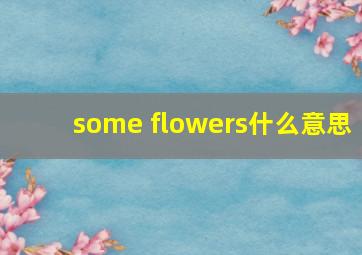 some flowers什么意思